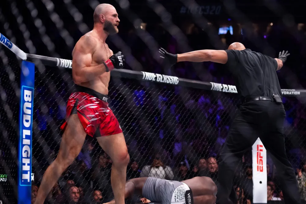 Jiří Procházka, UFC