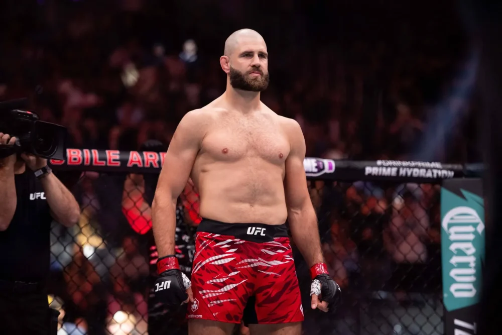 Jiří Procházka, UFC